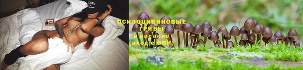 наркотики Алзамай