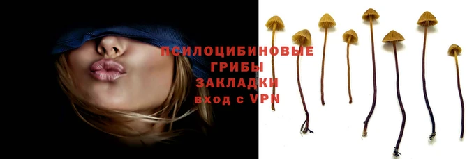 марки nbome Аркадак