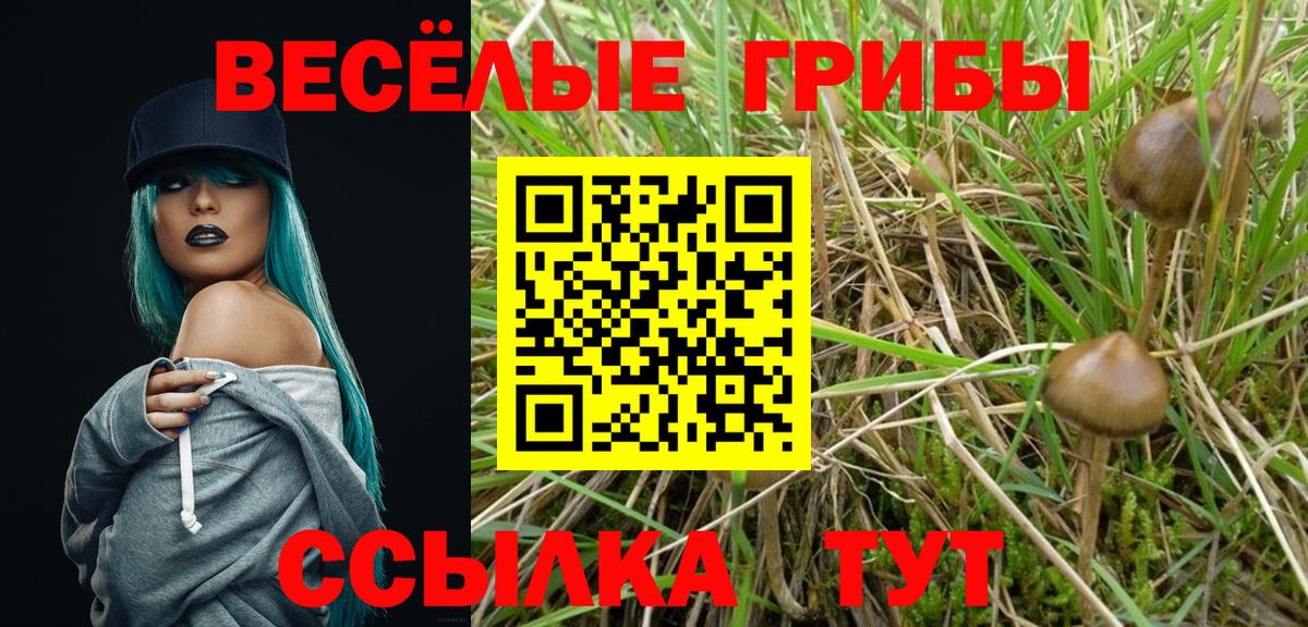 Галлюциногенные грибы прущие грибы Асино