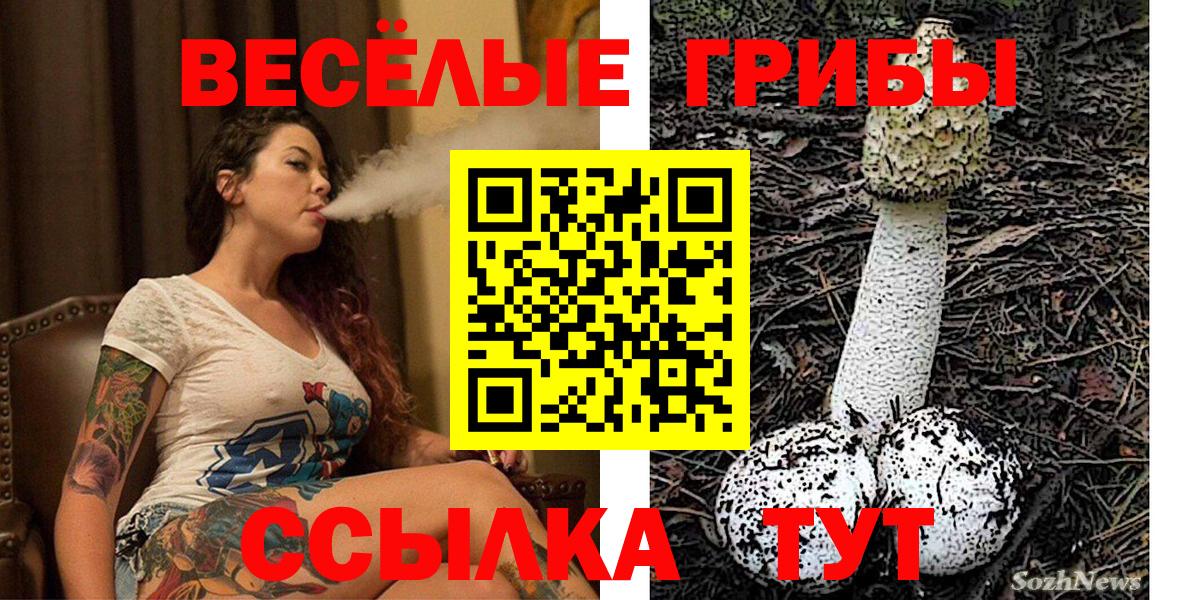 Асино  где найти   Вход с VPN  Галлюциногенные грибы ЛСД 